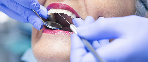 Best Dentist Open Late Near Me  in White City, FL